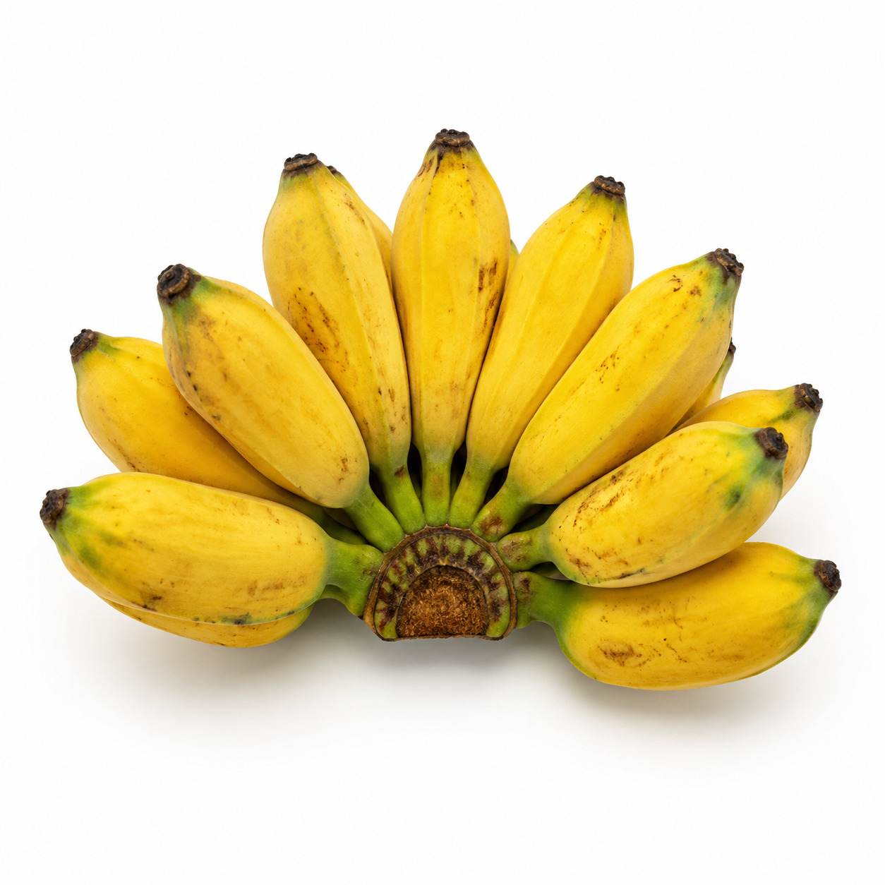 Pisang Kepok