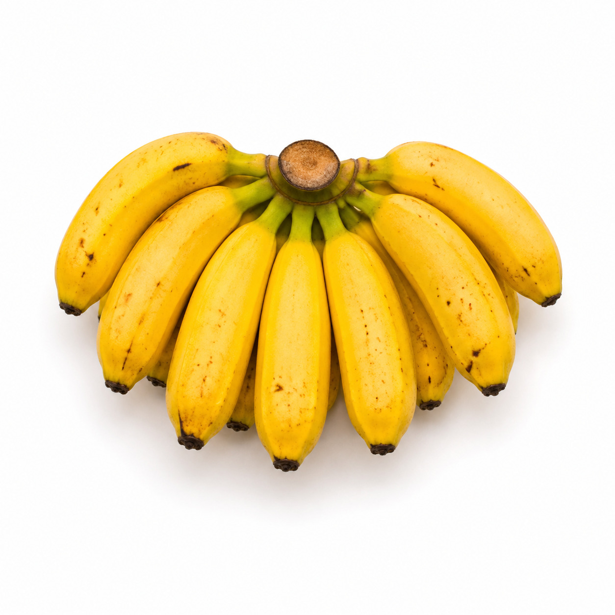 Pisang Raja