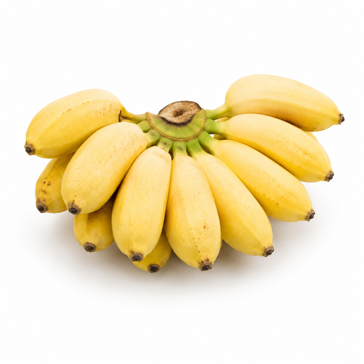 Pisang Susu