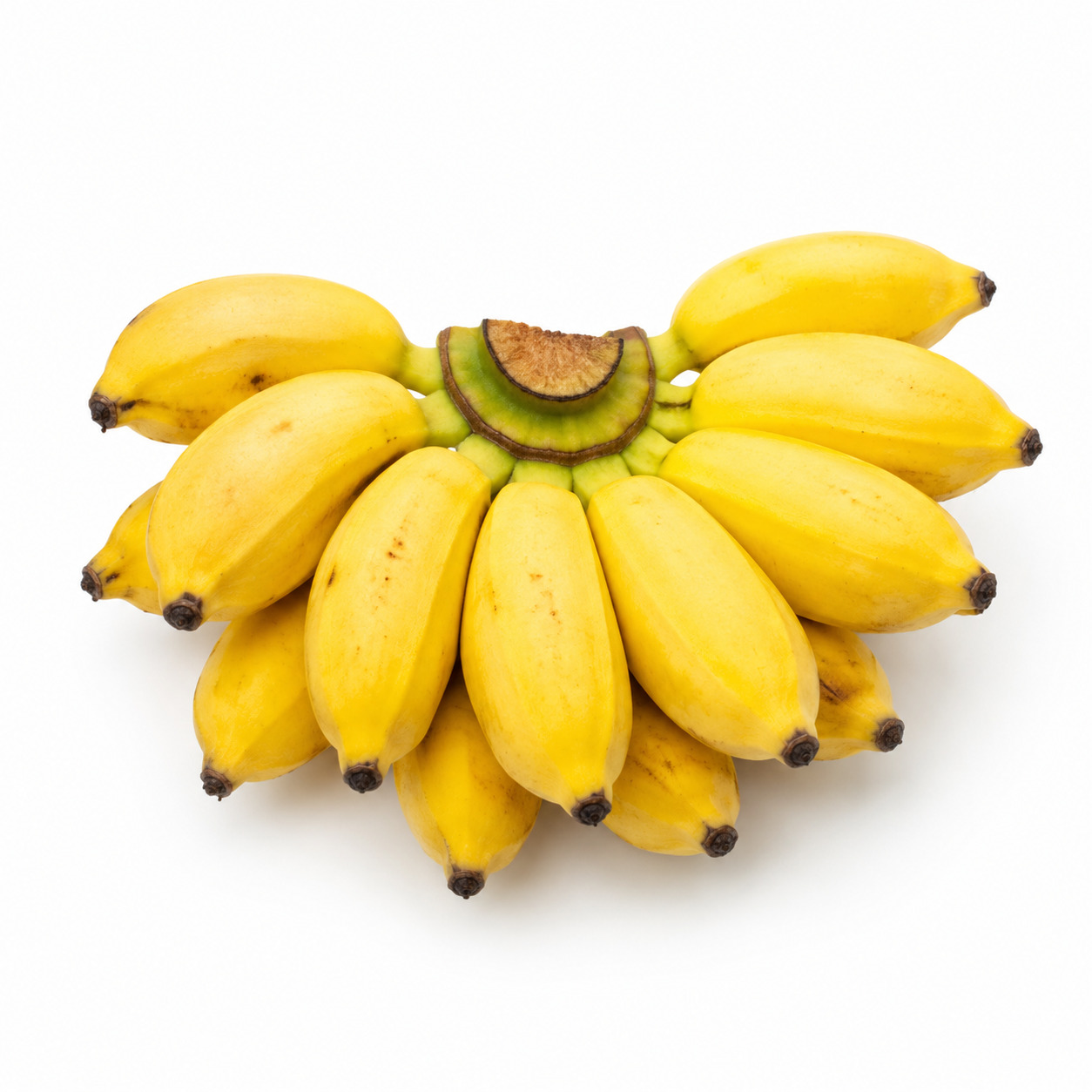 Sweet Banana Small