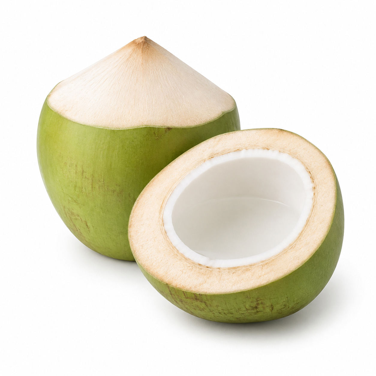 Young Coconut