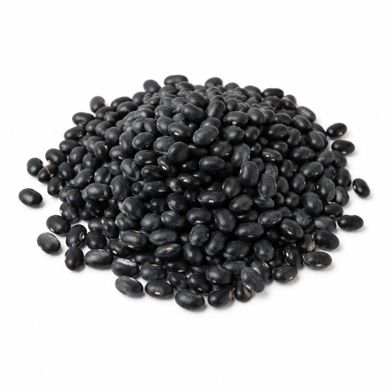 Black Bean