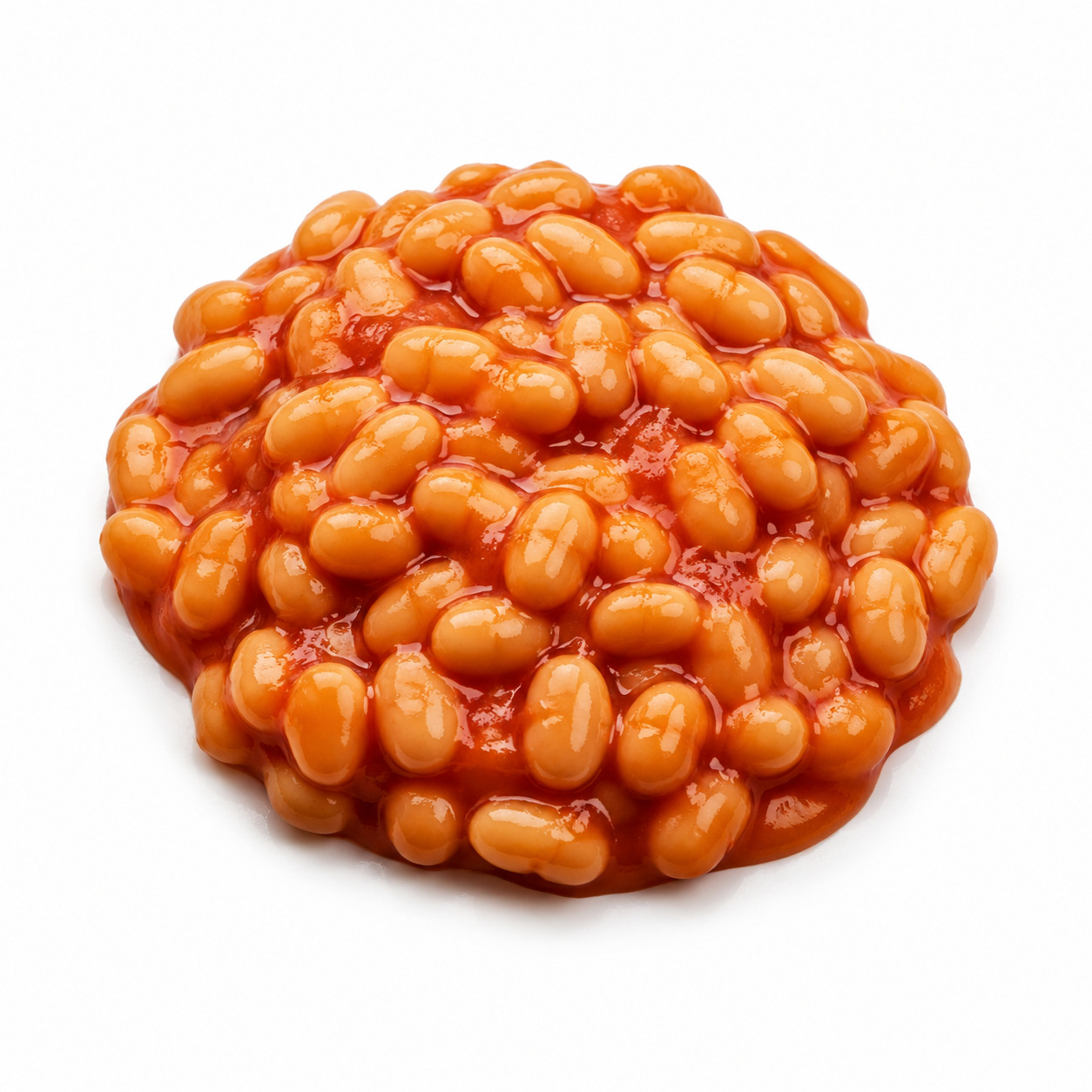 Baked Bean Can