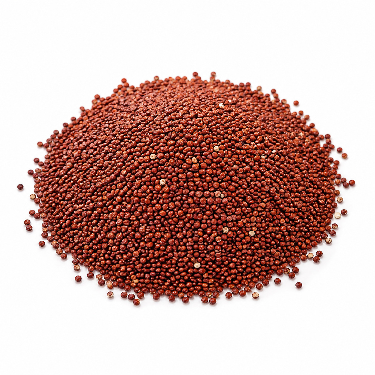 Quinoa Red