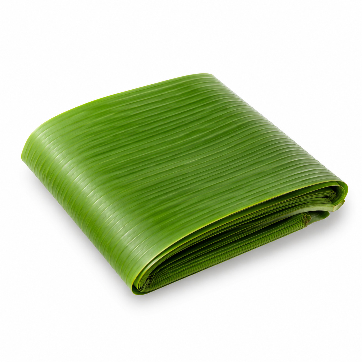 Banana Leaf