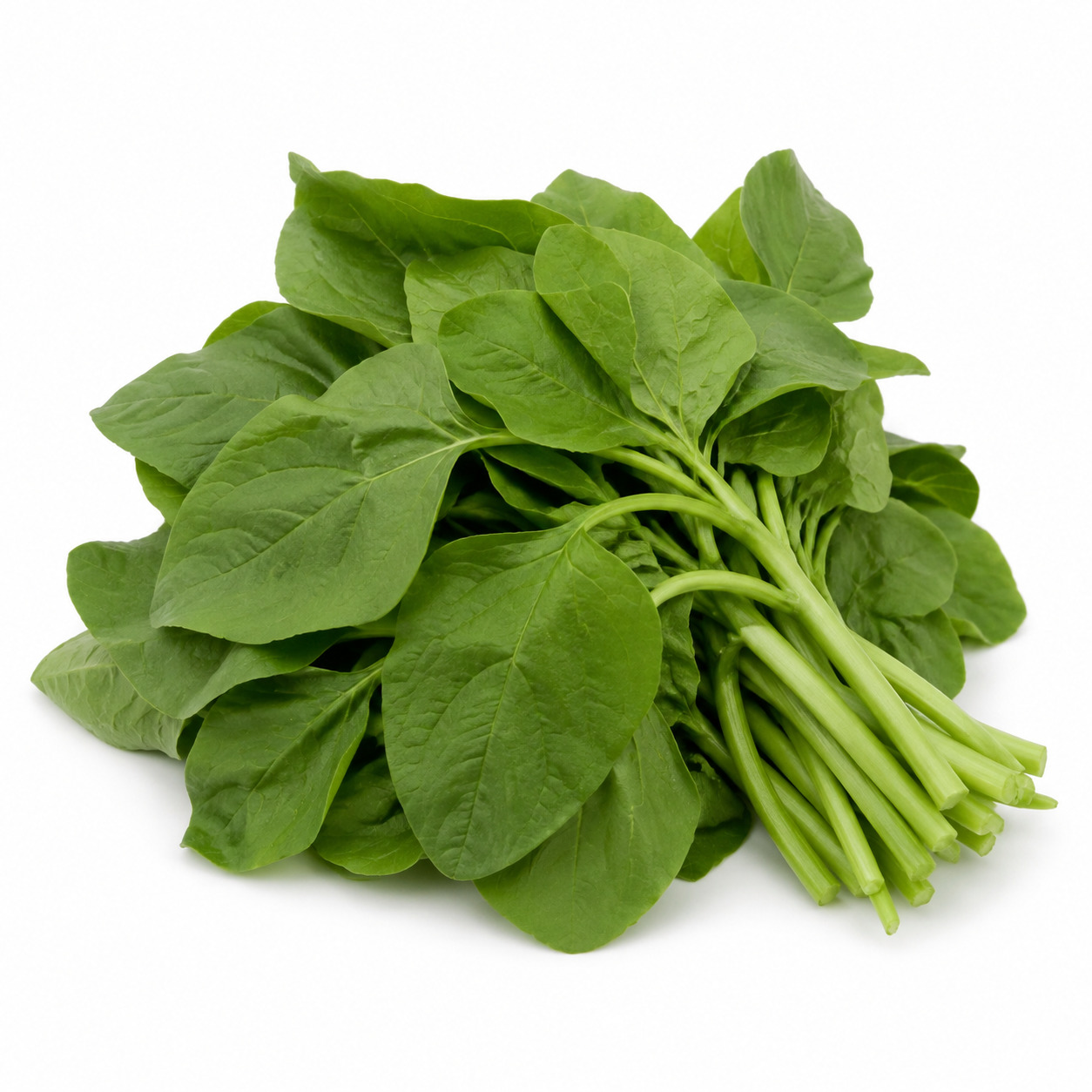 Bayam Potong
