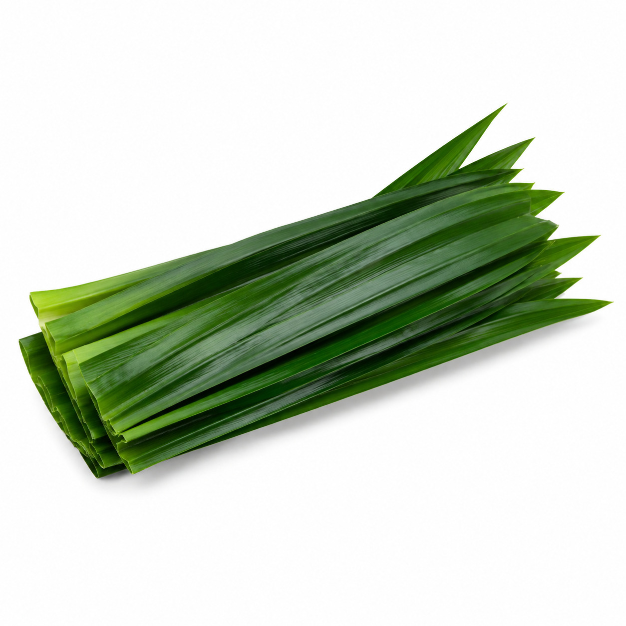 Daun Pandan