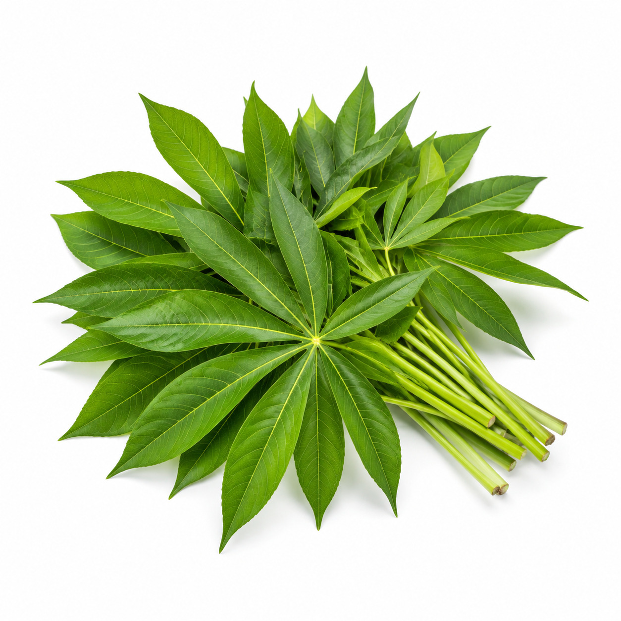 Daun Singkong