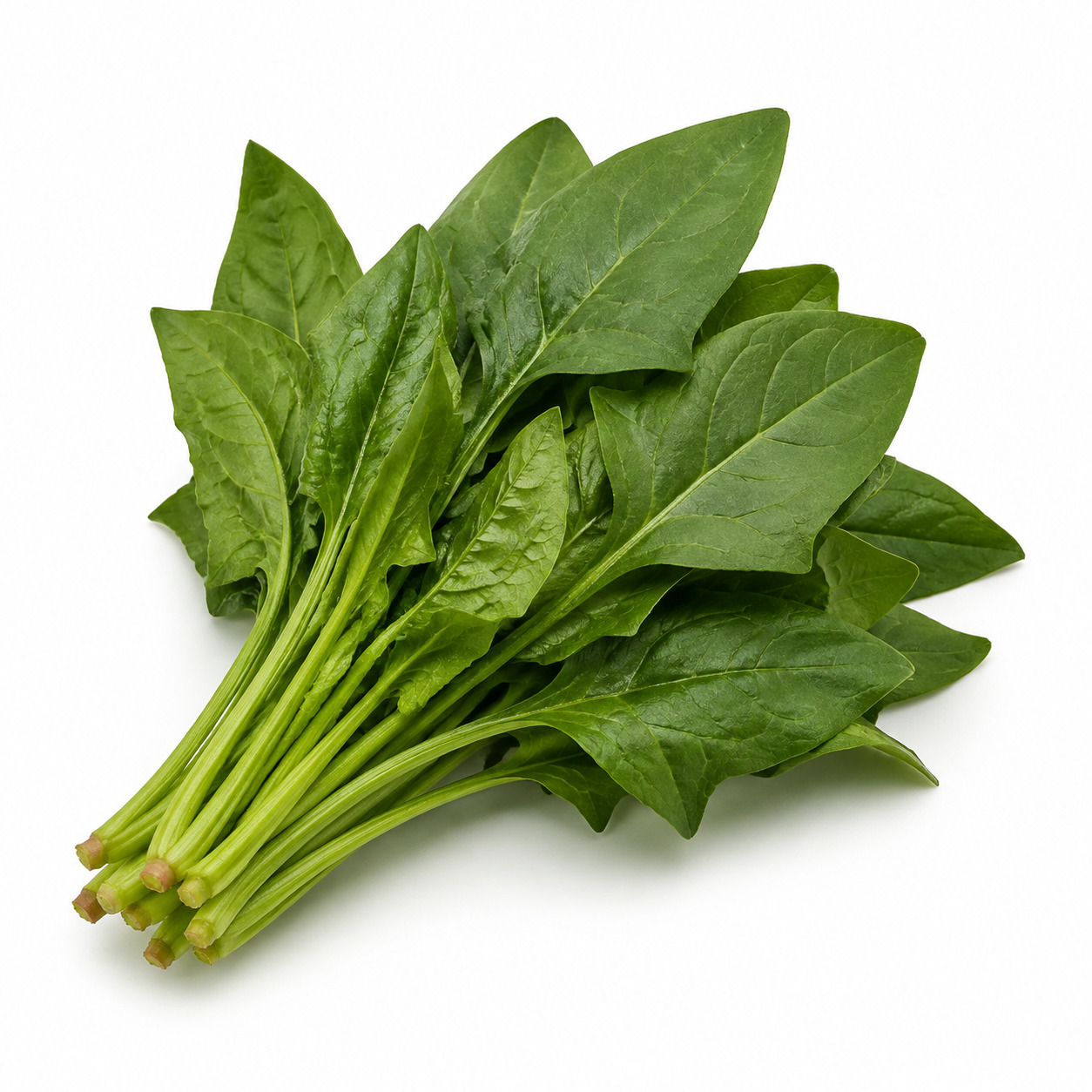 English Spinach