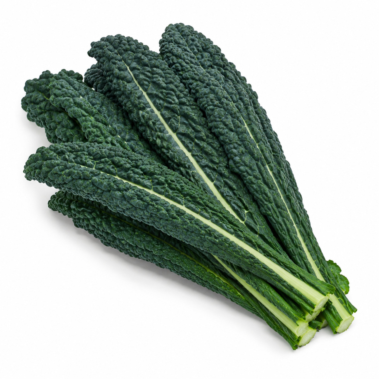 Kale Nero