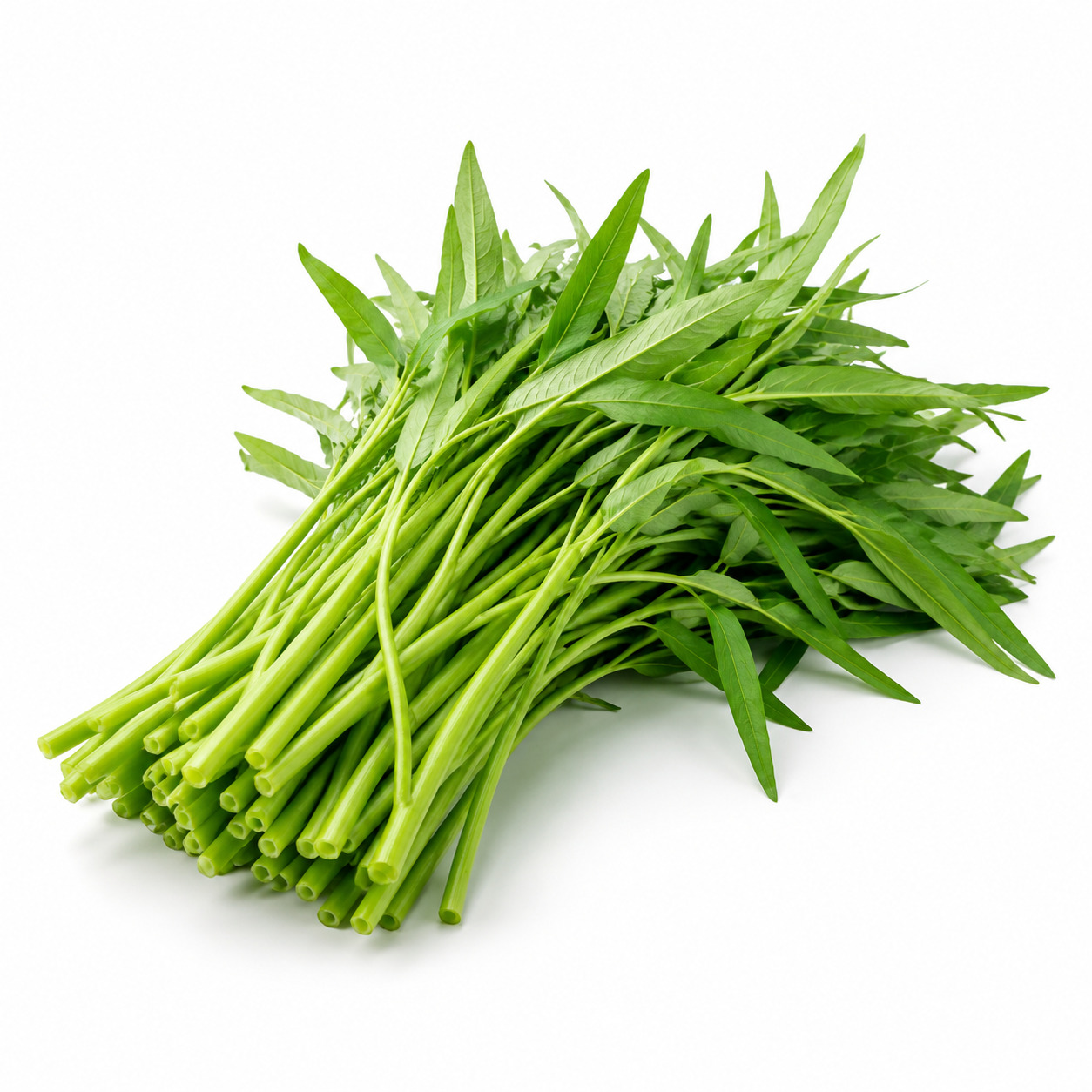 Kangkung Lombok
