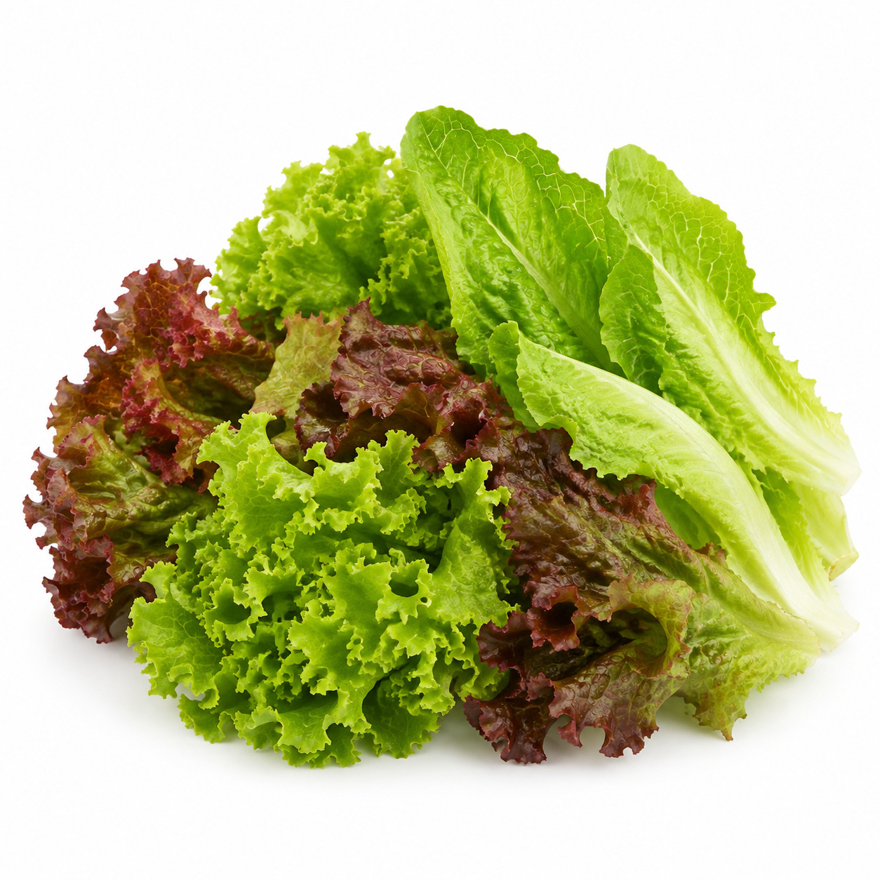 Mix Lettuce
