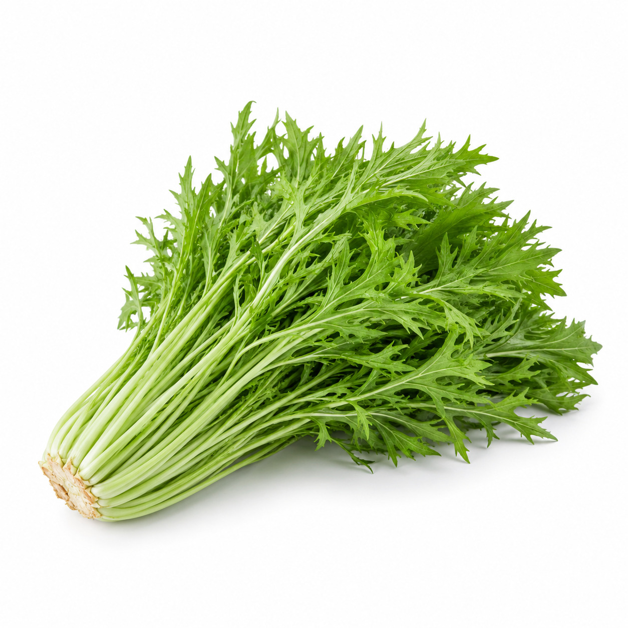 Mizuna