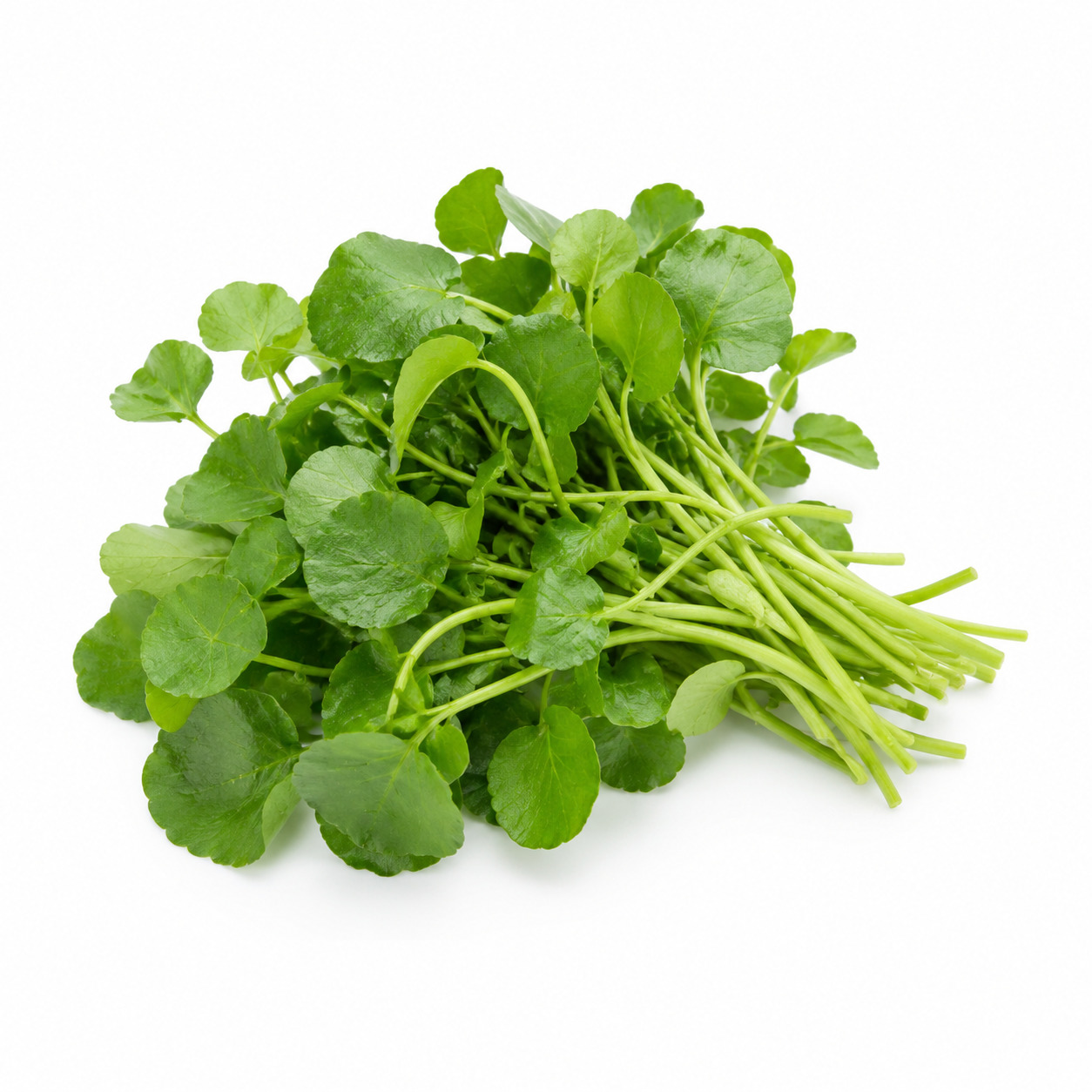Water Cress
