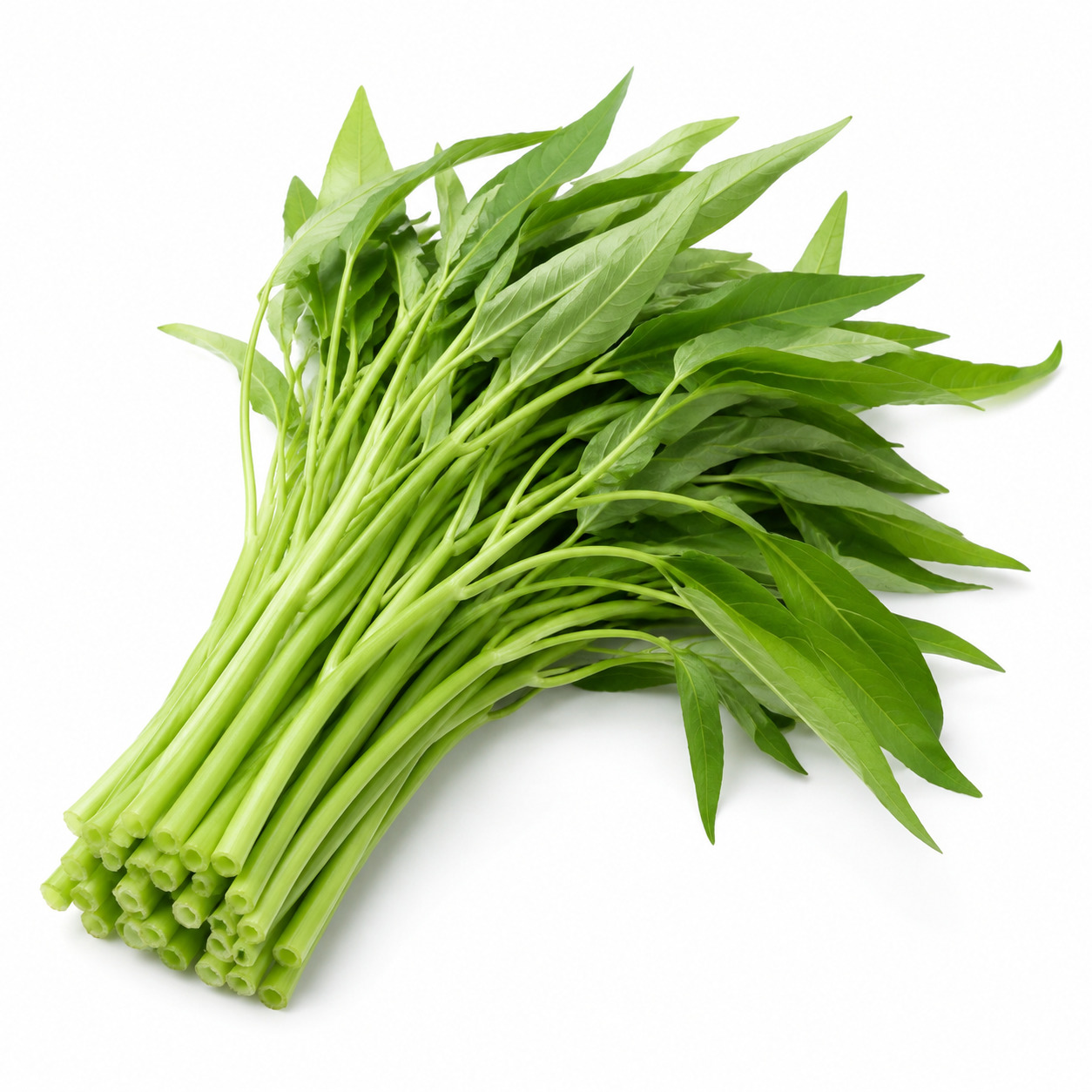 Waterspinach