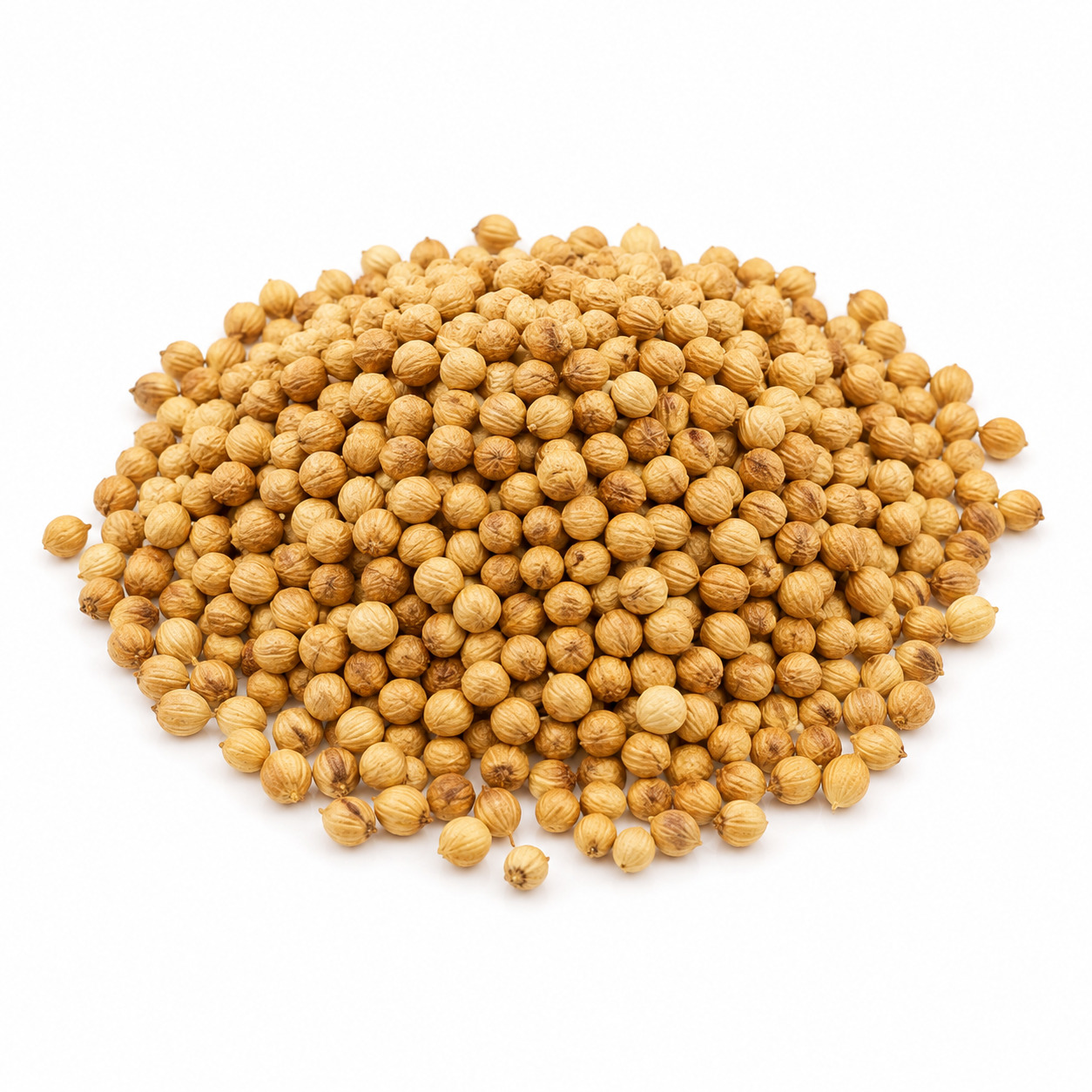 Coriander Seed