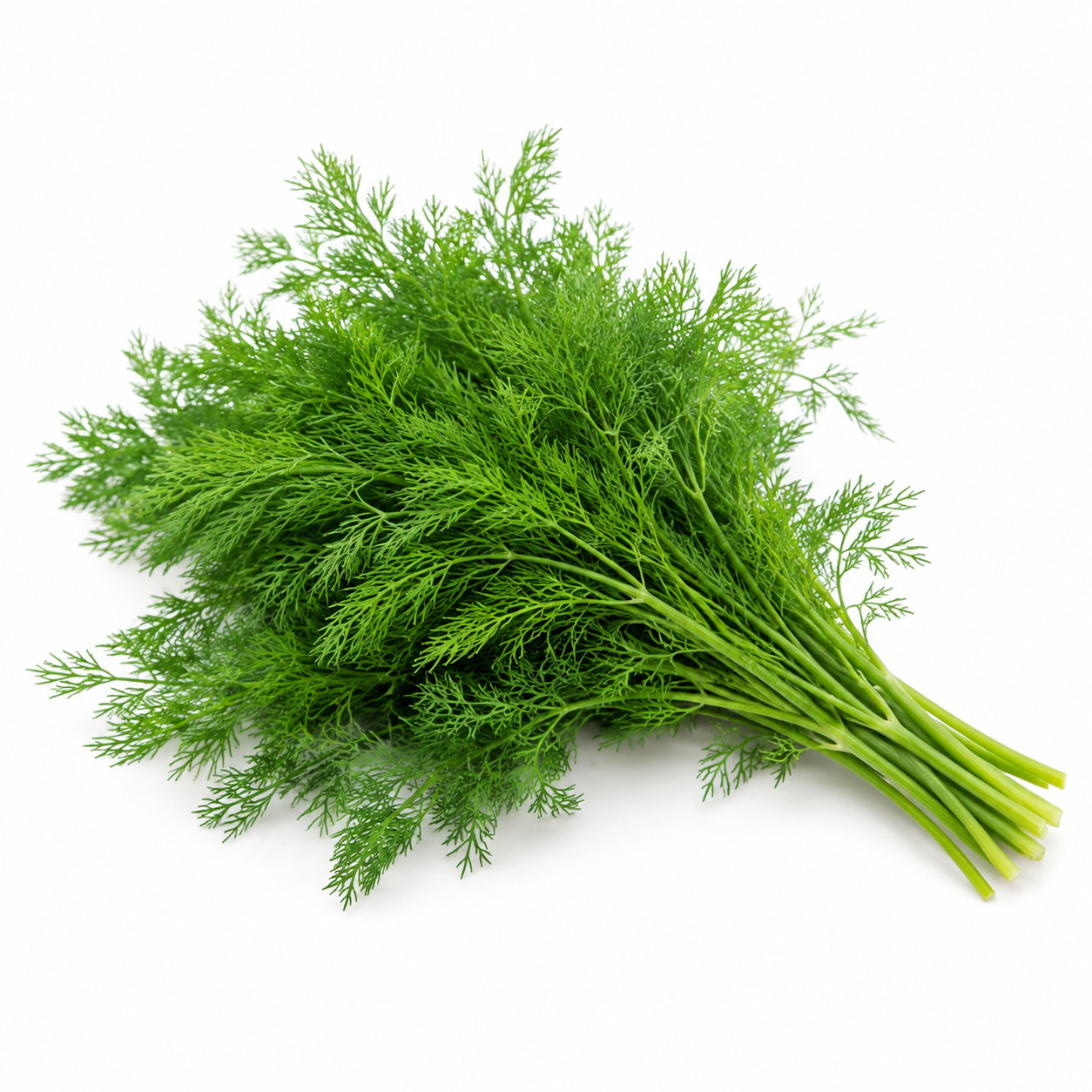Dill