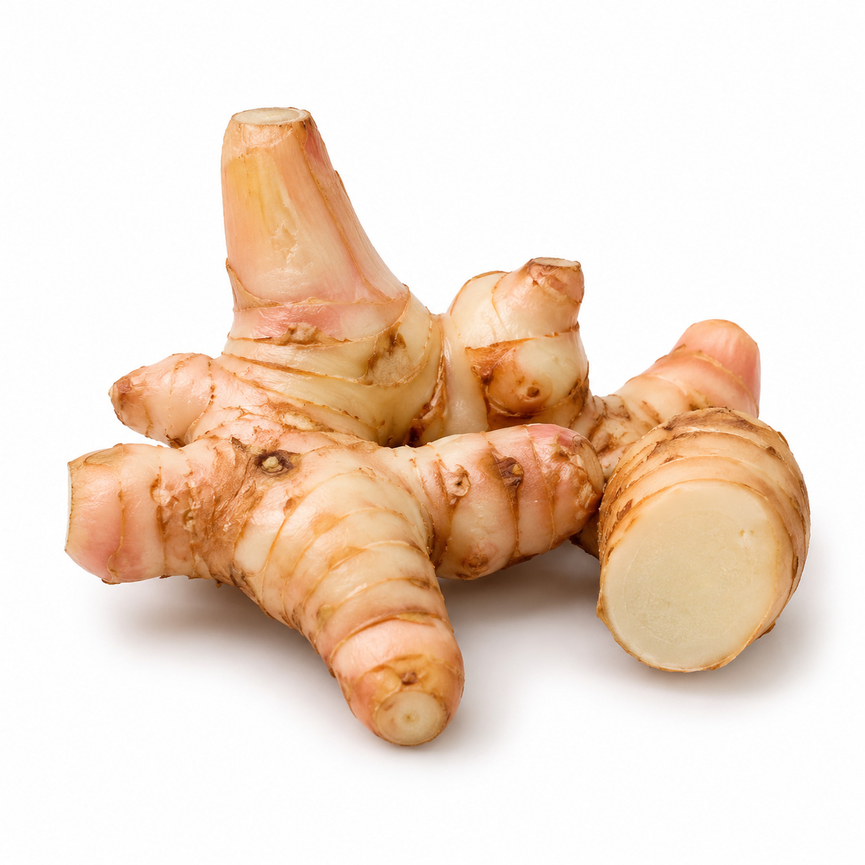 Galangal