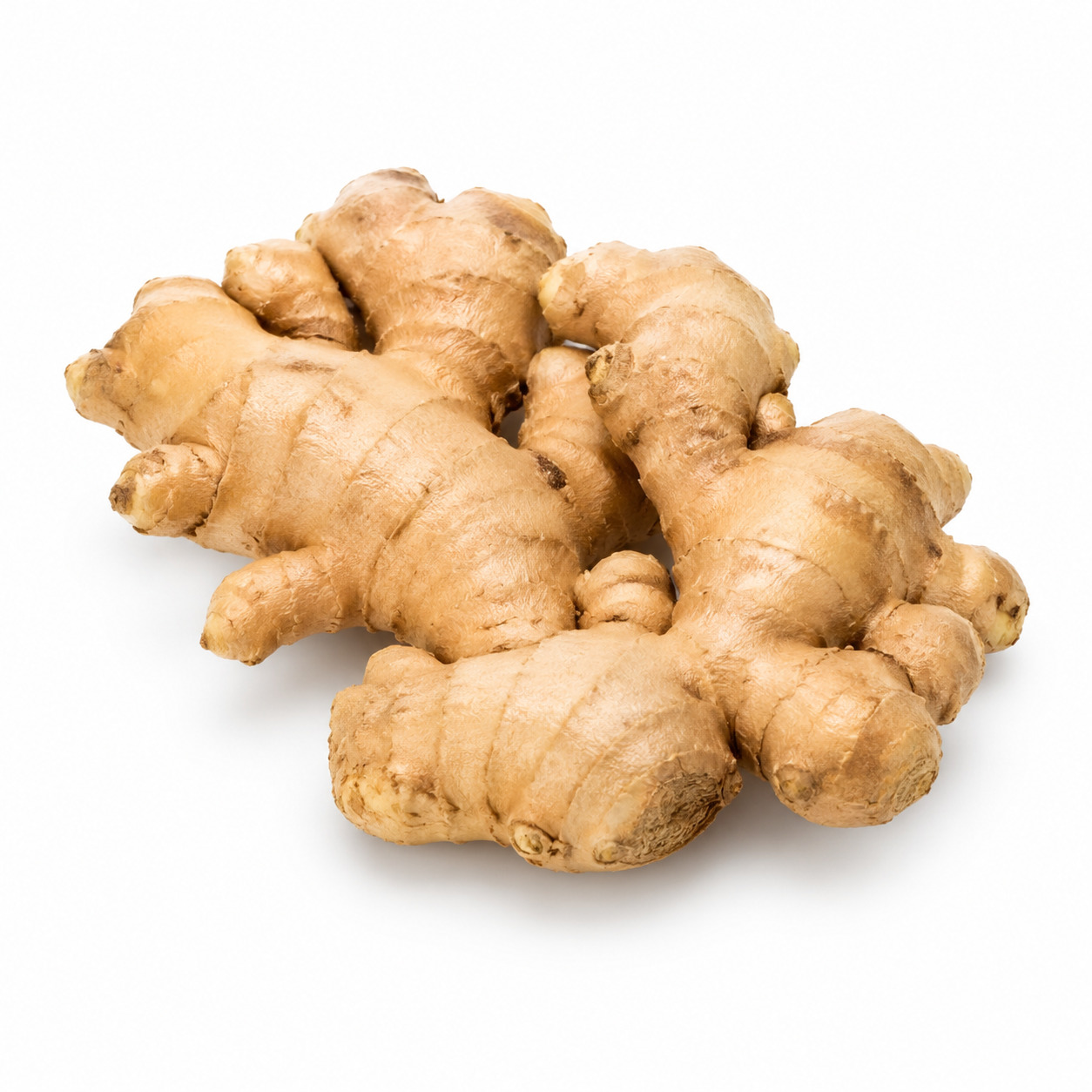 Ginger