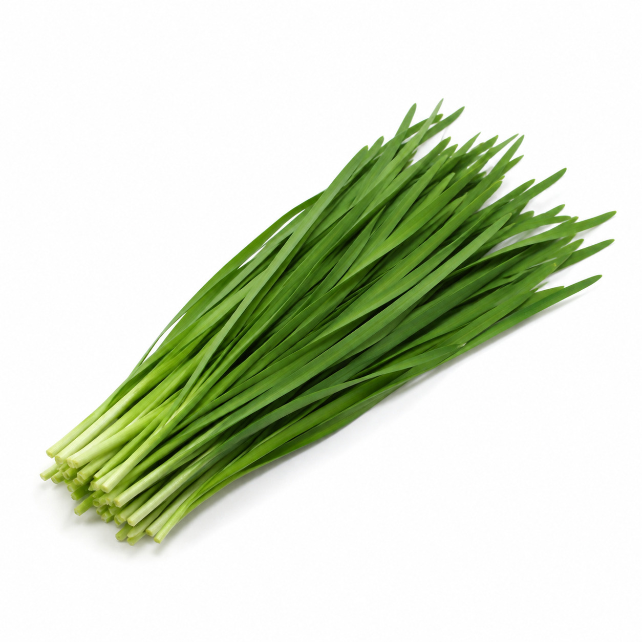 Kucai
