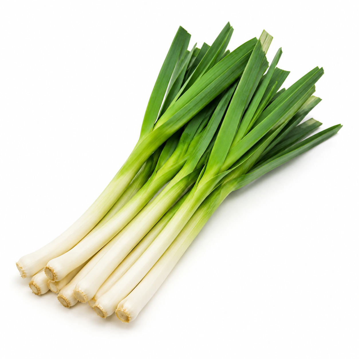Leek Bali Clean