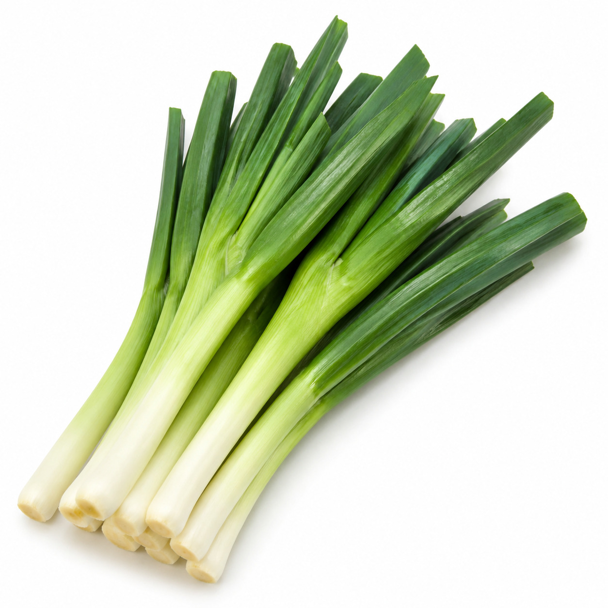 Leek Jawa Clean