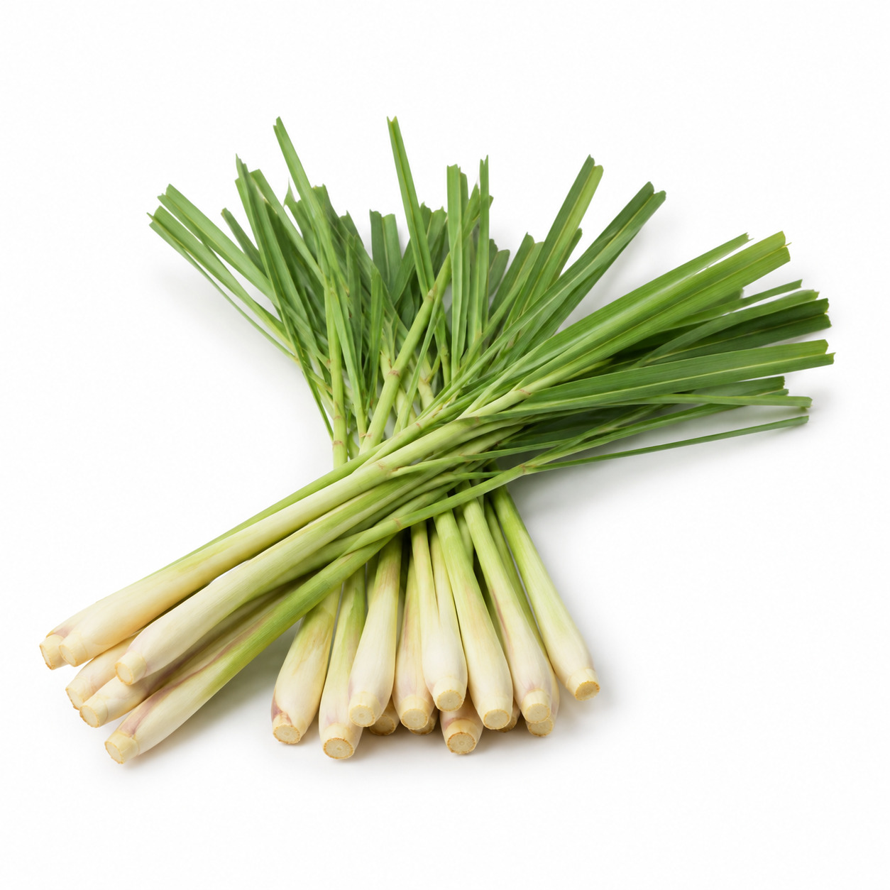 Lemon Grass