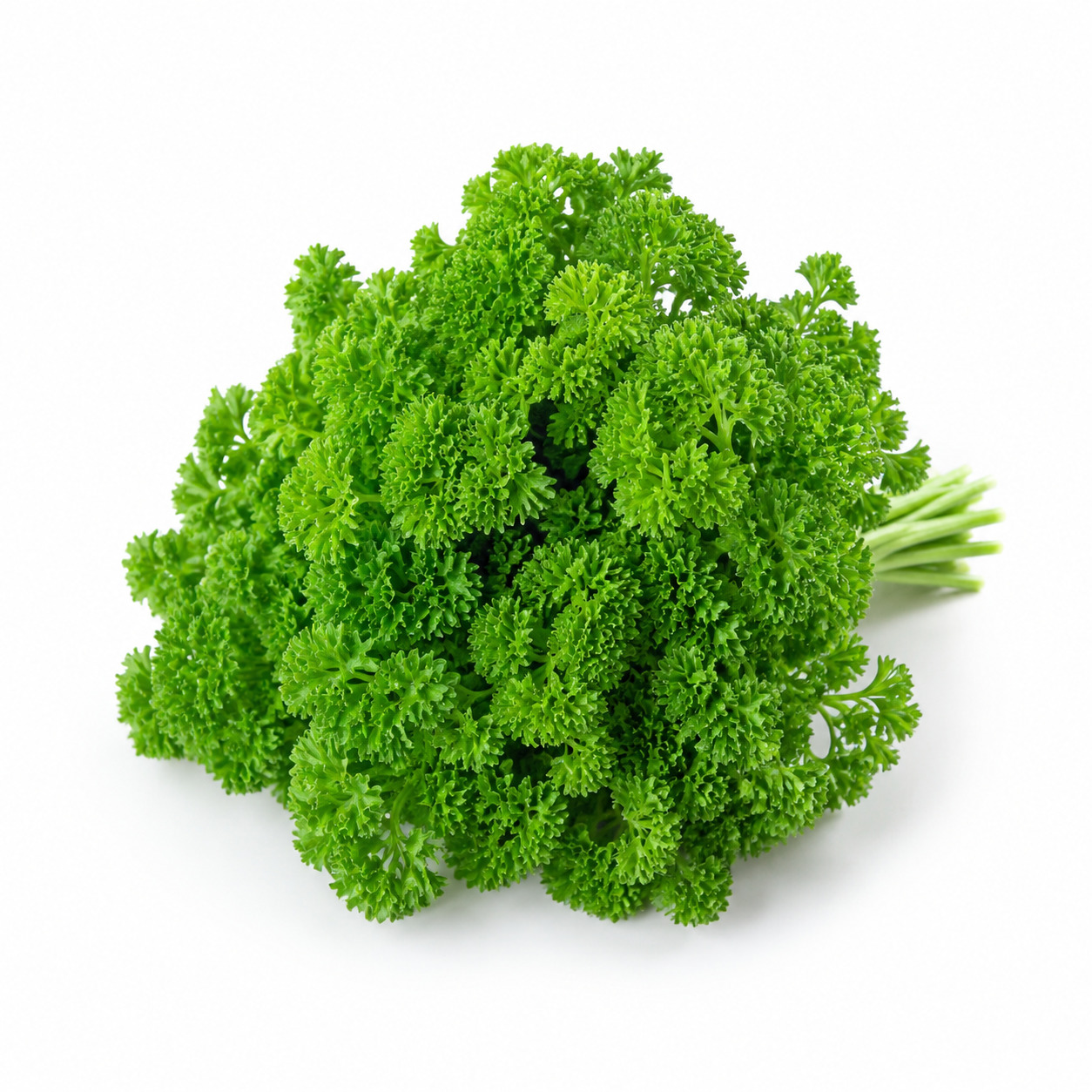 Local Parsley