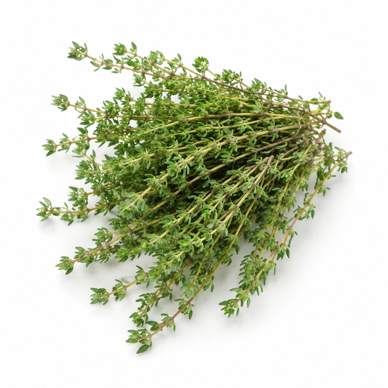 Thyme