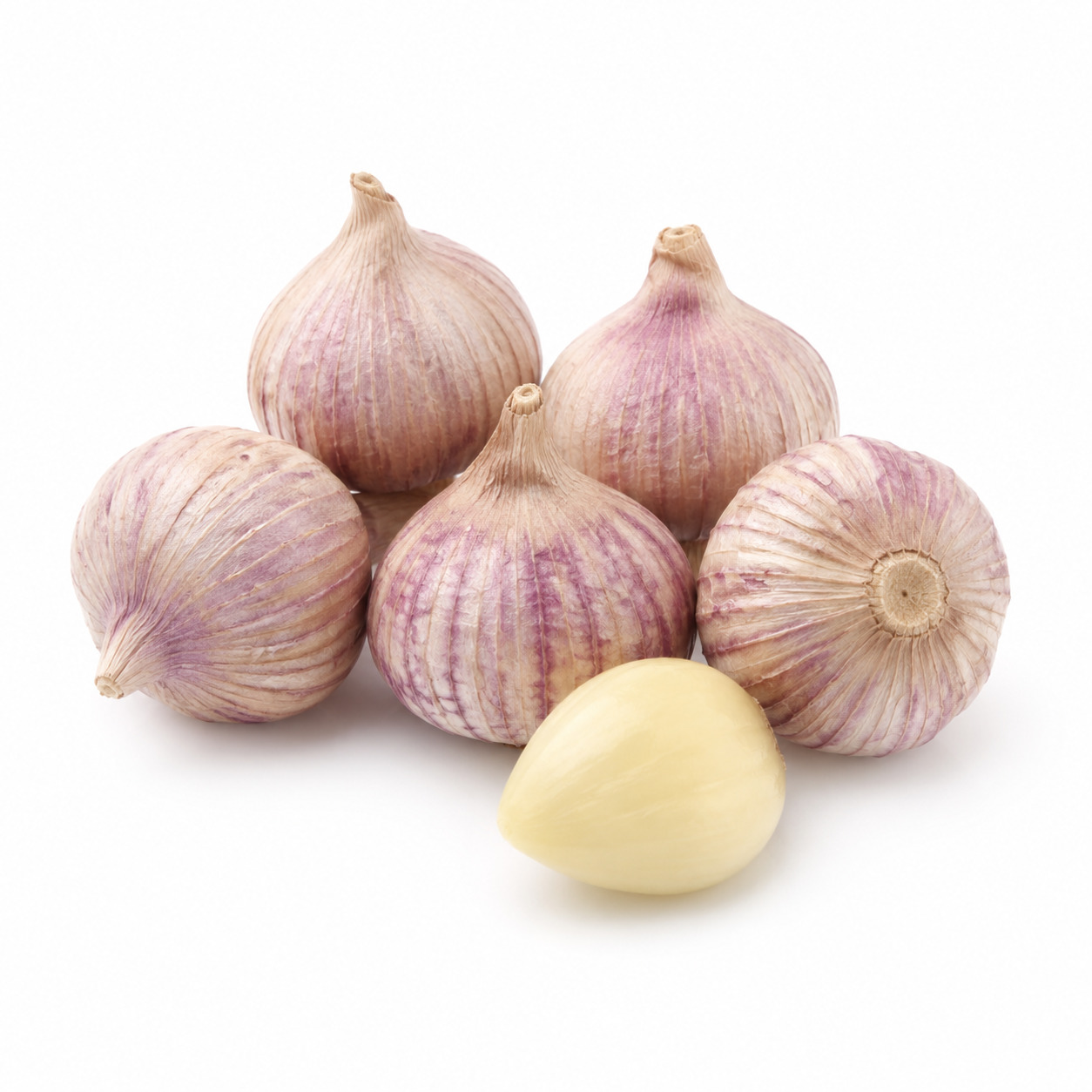 Bawang Putih Tunggal