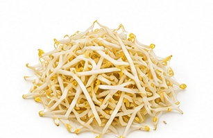 Bean Sprouts