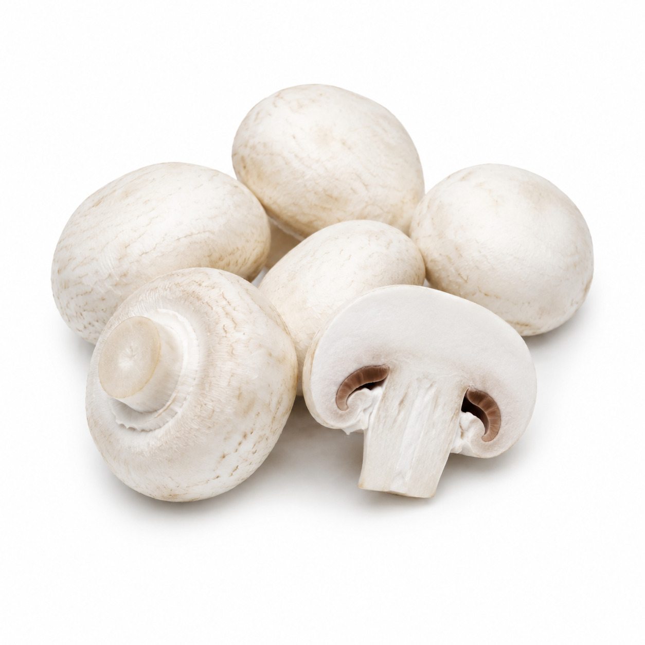 Buttom Mushroom