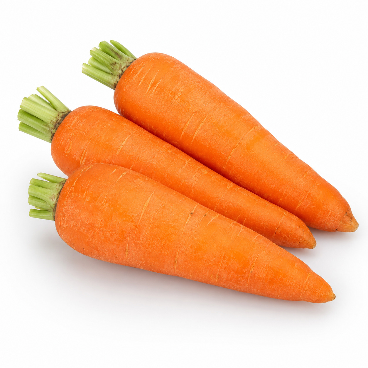 Carrot Local
