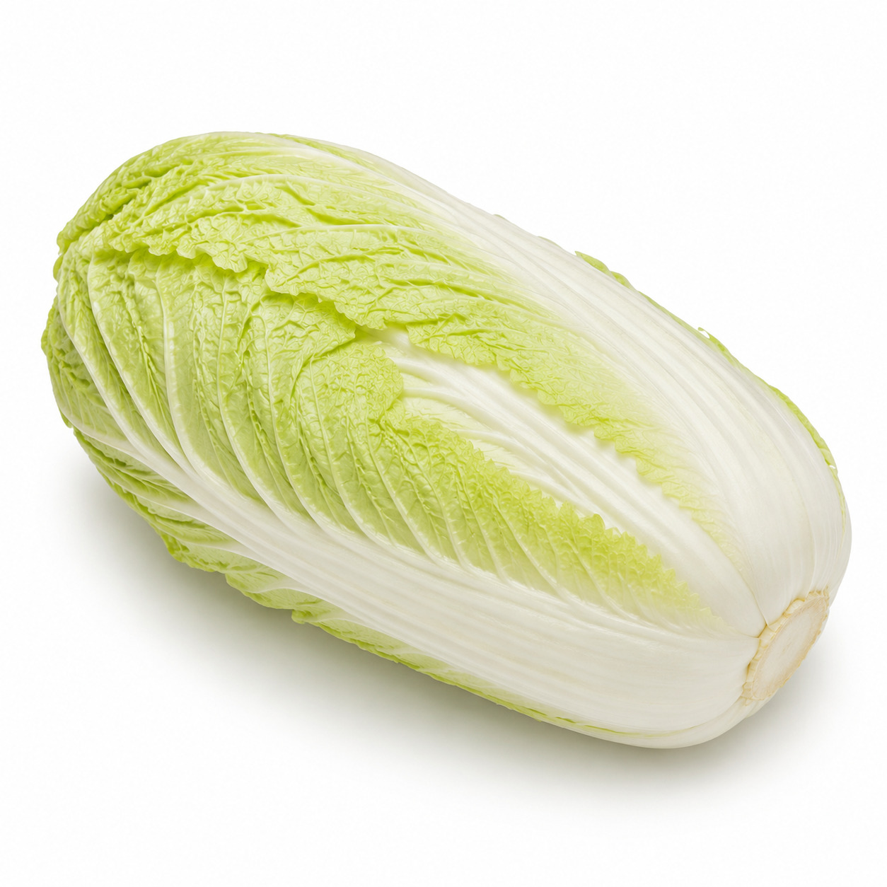 Chinese Cabbage