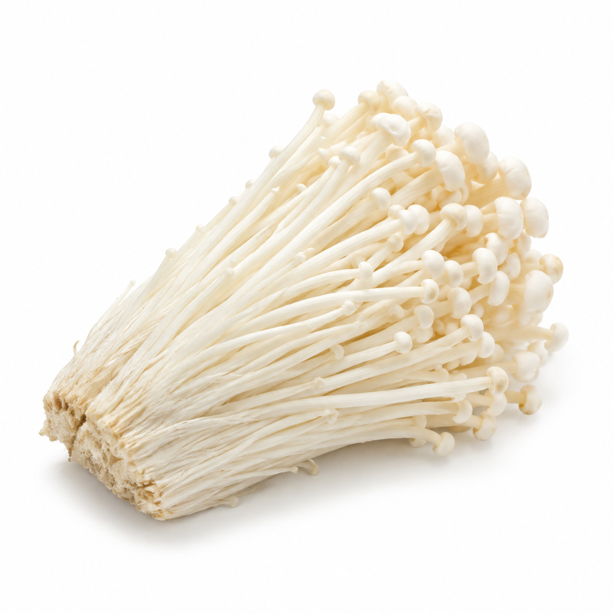 Enoki Mushroom