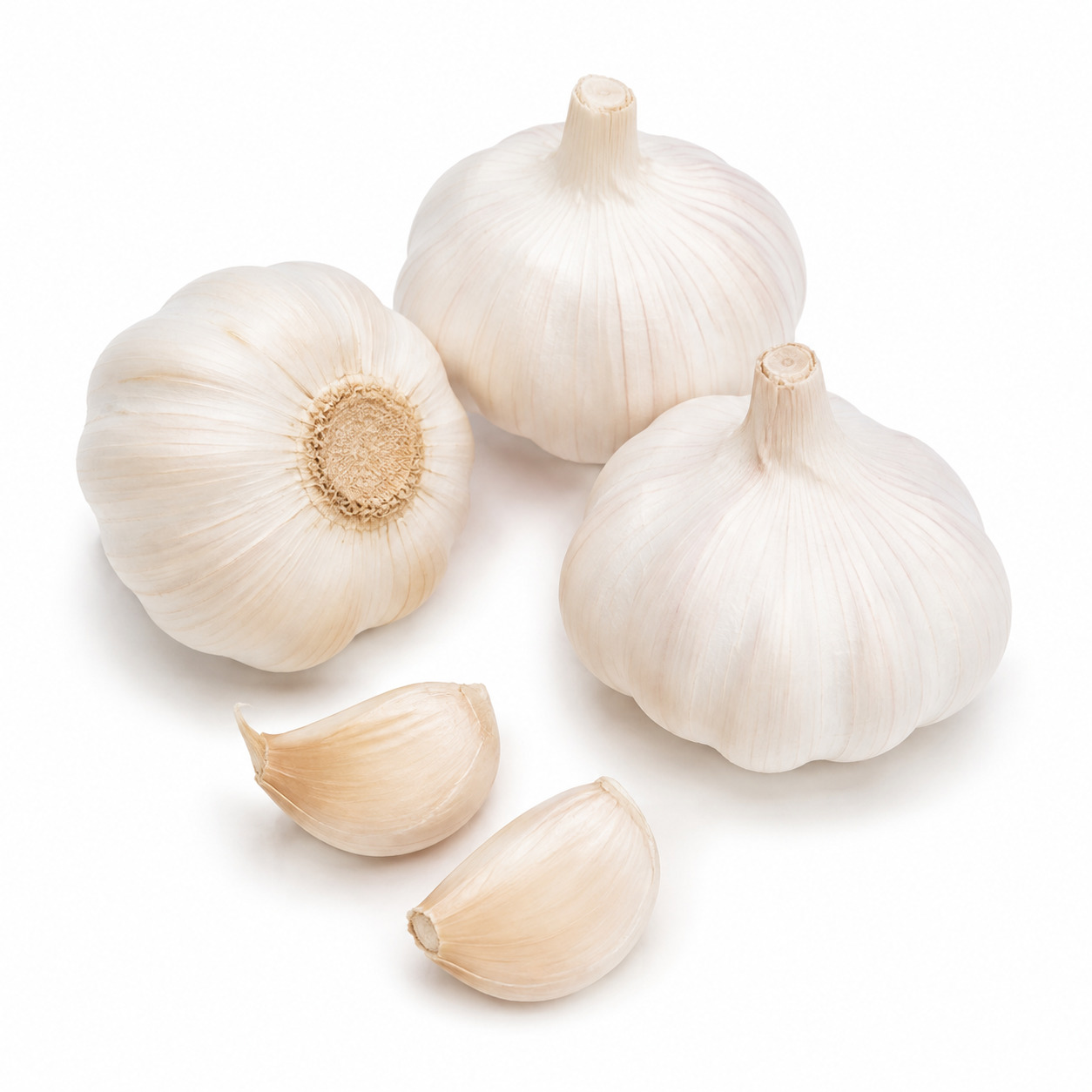 Garlic