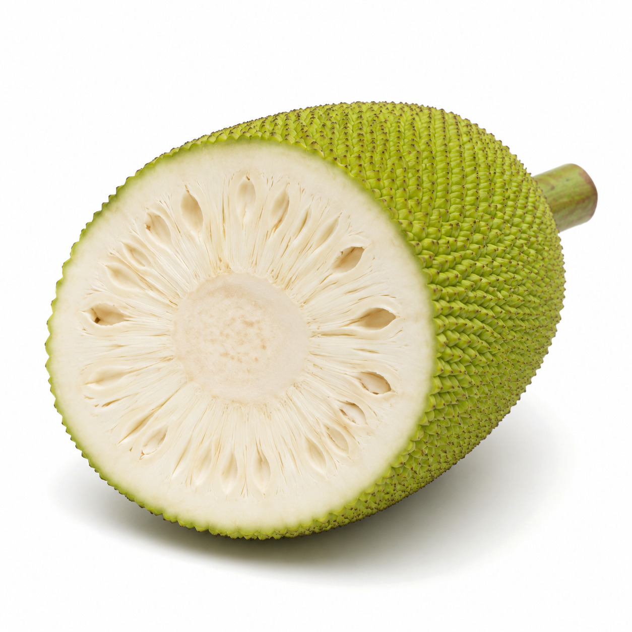 Jack Fruit Vegetable Unripe