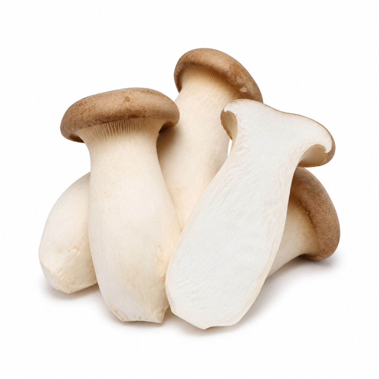 King Oyster
