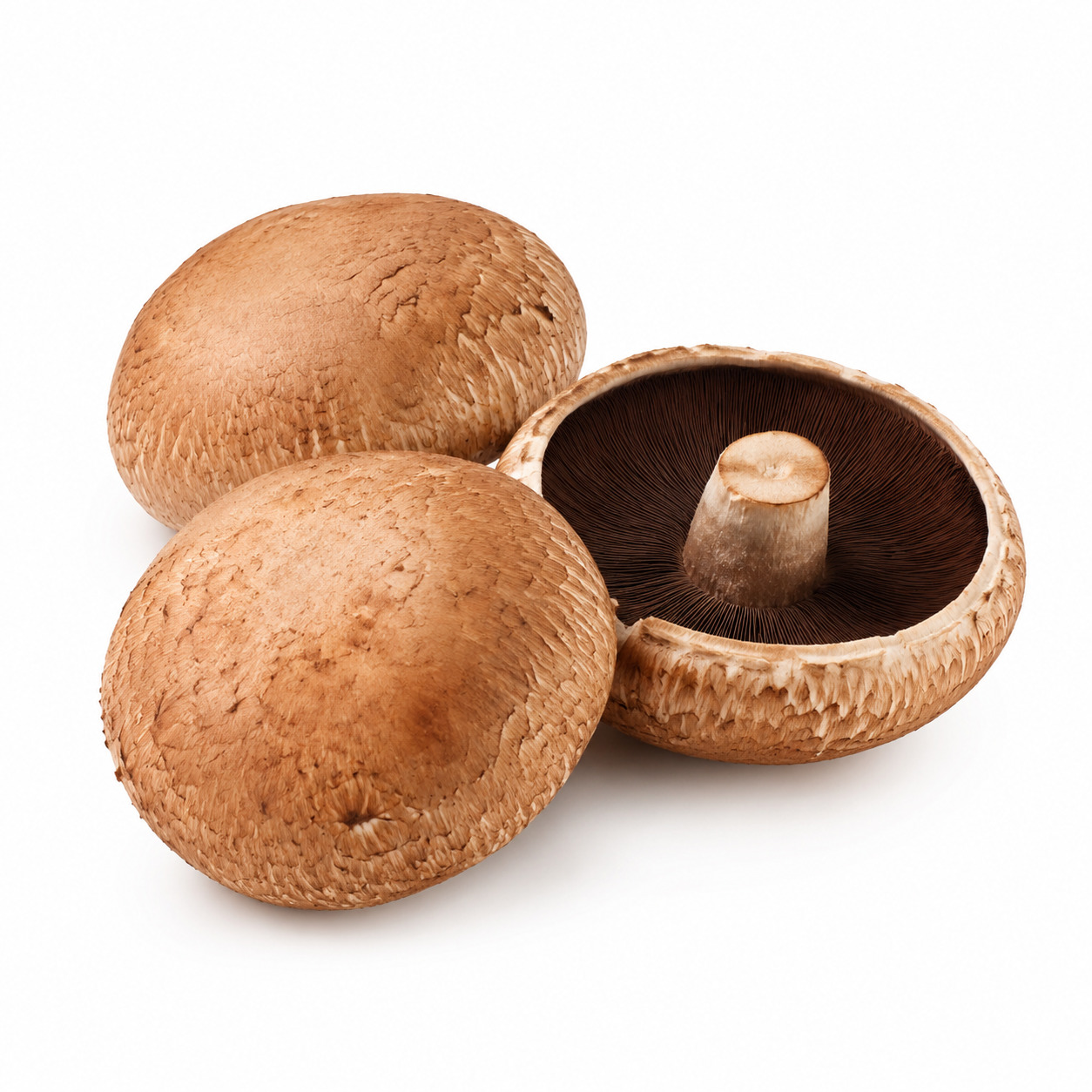 Portabello Mushroom