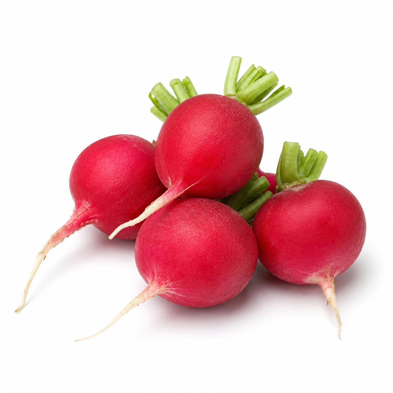 Red Radish
