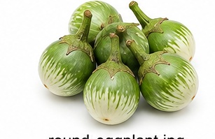 Round Eggplant