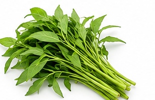 Sayur Gondo