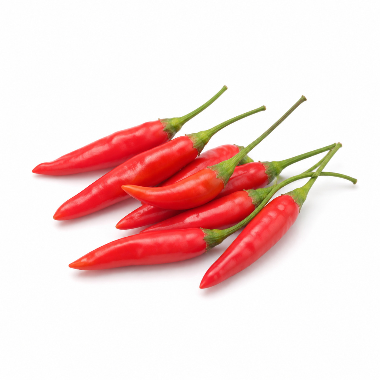 Small Red Chili