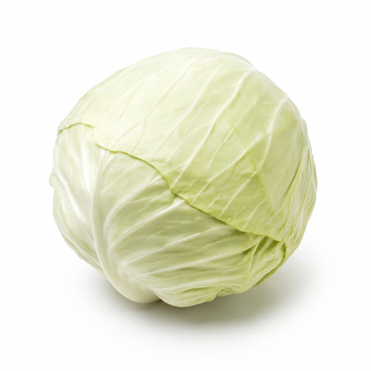 White Cabbage